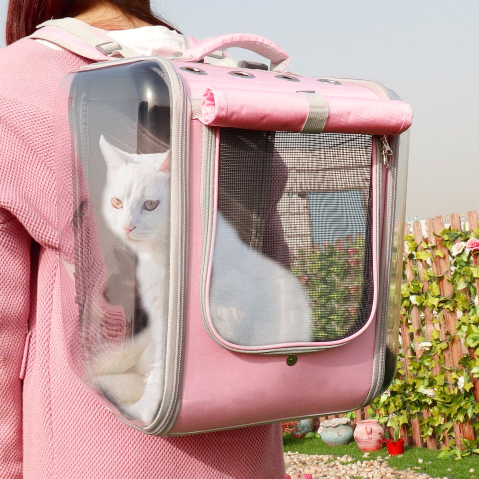 Pet Cat Carrier Backpack | RK1307 - rennoyakawaii