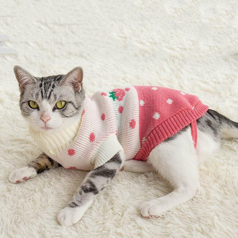 Cat Kawaii Sweater | RK1515